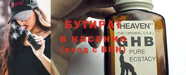 индика Дмитриев