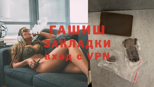 индика Дмитриев
